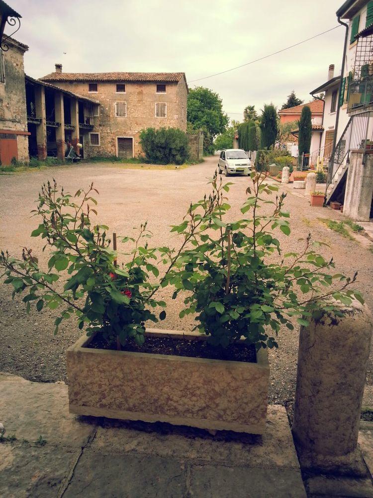 Mio Hotel Lazise